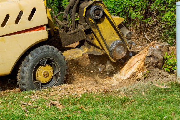 Best Aeration Services  in Boyertown, PA